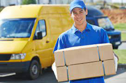 Domestic Parcel Service – Precision and Speed, Door to Door